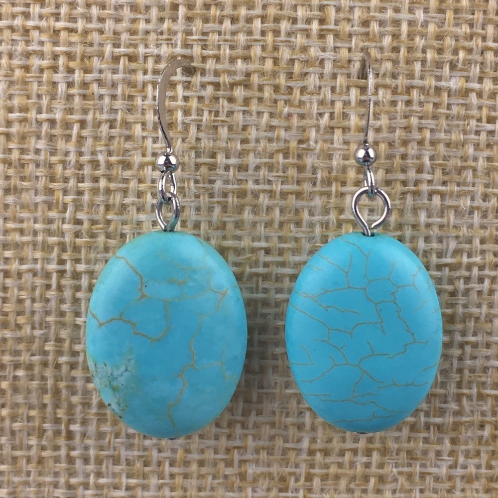 Blue Howlite Hook Dangle Earrings